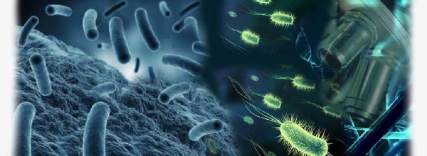 Радиоскоп - Микробиология