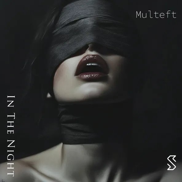 Multeft - In The Night
