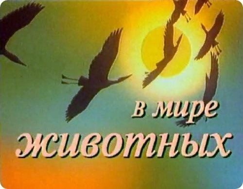 В мире животных - Заставка телепередачи
