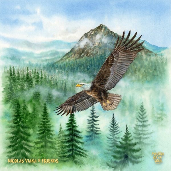 Nicolas Viana - Faces