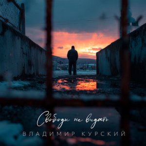 Владимир Курский - Свободы не видать