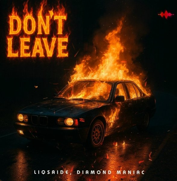 LIQSAIDE, Diamond Maniac - Don't Leave