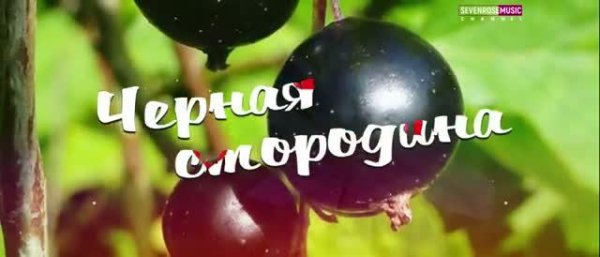 Алёна Росс &amp; SEVENROSE - Чёрная смородина (2021)