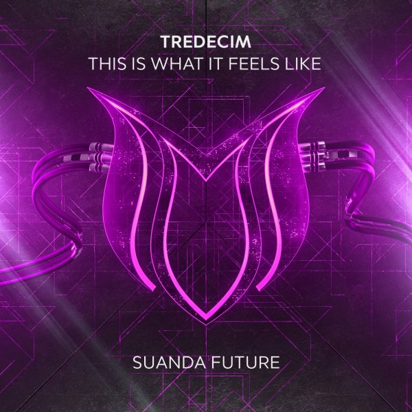 TREDECIM - This Is What It Feels Like (Extended Mix)