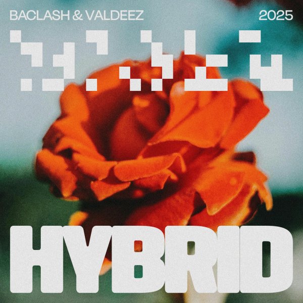 Baclash, Valdeez - Hybrid