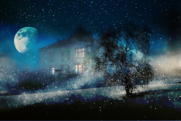 Фаргат Закиров - Стихотворение "На тротуары падал снег". Автор Фаргат Закиров.