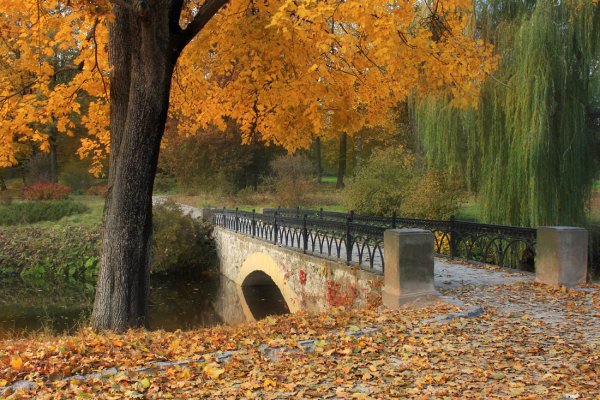 KaTiNeLi - Вір у дива