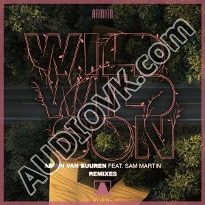 Armin Van Buuren feat. Sam Martin - Wild Wild Son (Richard Durand Extended Remix)