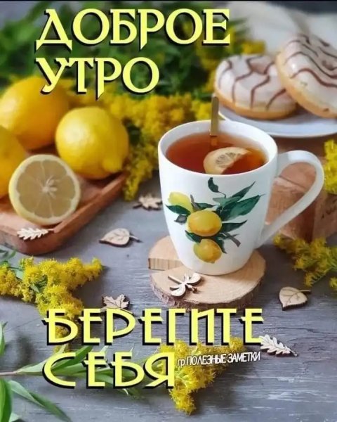 Венгеров и фёдоров - Ремикс джентельмены удачи