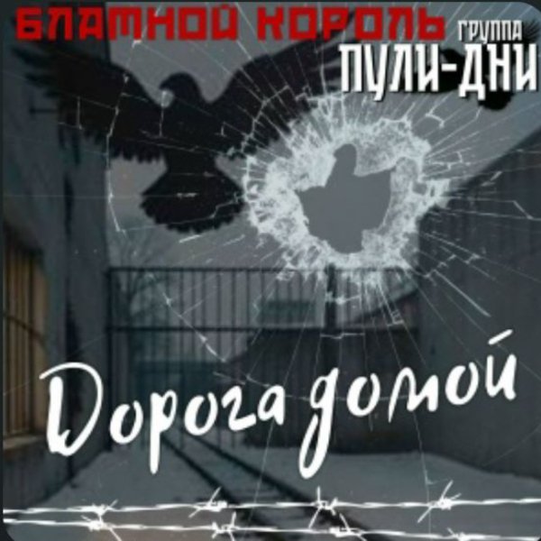 Блатной Король, Группа Пули-Дни - Откинулся вор старый