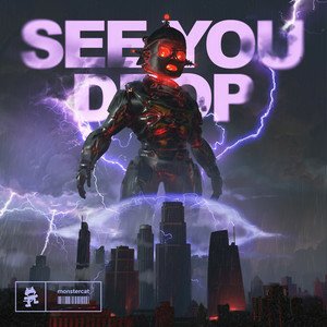 SEE YOU DROP - Ray Volpe