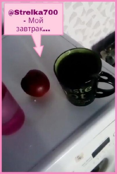 @Strelka700 - Вот мой завтрак...