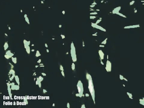 OBS! - Eva L. Cress, Aster Storm - Folie à Deux