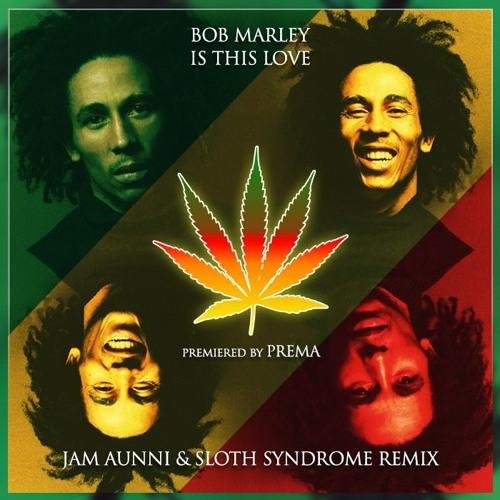 Bob Marley - Is This Love Jam Aunni  Sloth Syndrome Remix
