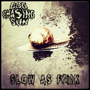 Dog Chasing Sun - Постой Паровоз