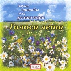 VA - Ручей в лесу