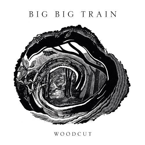 Big Big Train - Counting Stars