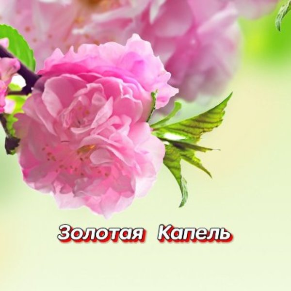 Гравитация - У реки с тобой