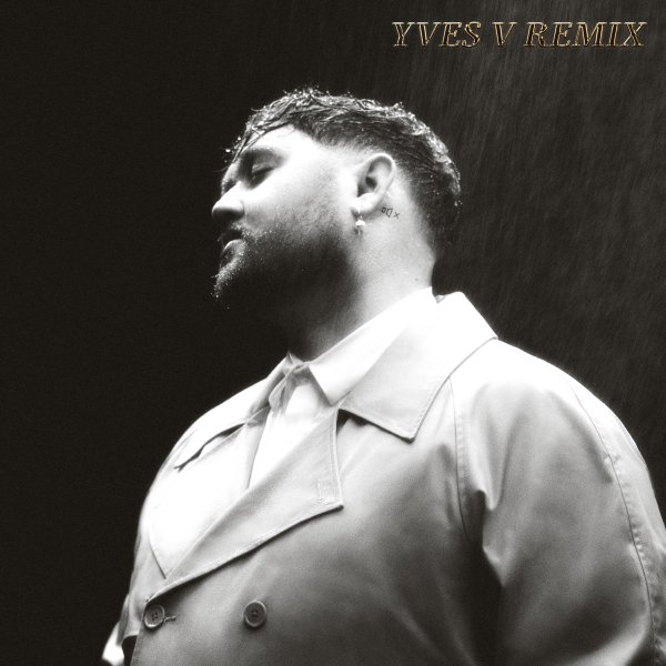 James Vickery - Fall in Your Arms (Yves V Extended Remix)
