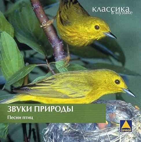 Звуки природы - Восход