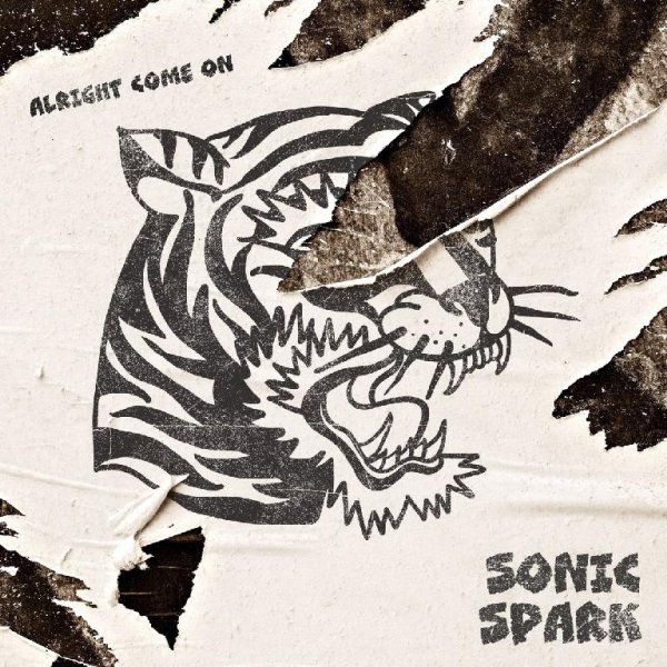 Sonic Spark - The Beach