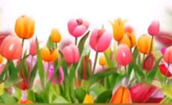 Лейла - Милые добрые нежные дамы бабушки тети  любимые мамы