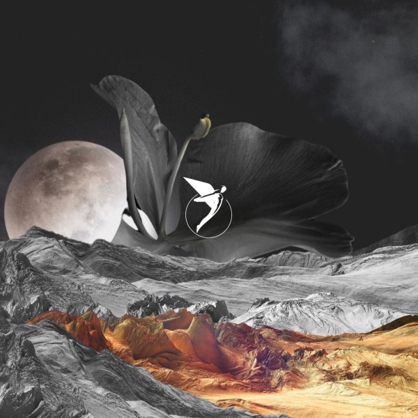 Q.U.A.K.E, Kasia &amp; Vincenzo Sarti - Introspection
