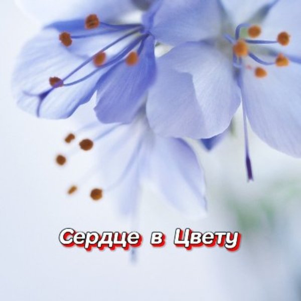 Гравитация - Я отпускаю печаль