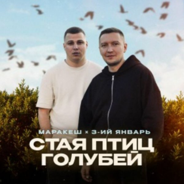 Маракеш, 3-ий Январь - Стая птиц голубей/2026