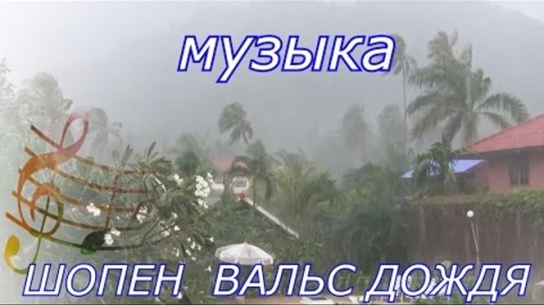 Фредерик Шопен - Вальс Дождя