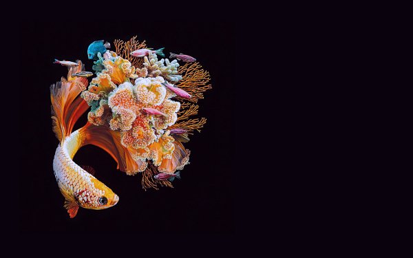 R&amp;Bишки  В первый раз - R&amp;Bишки  В первый раз