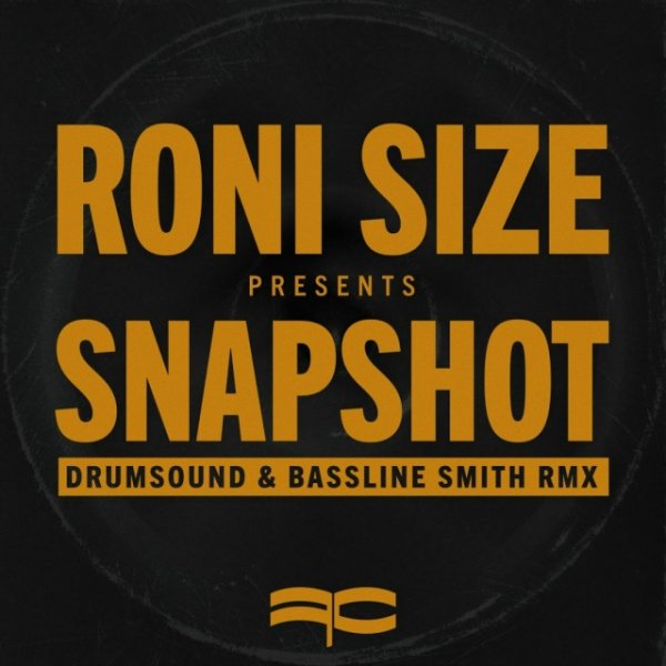Roni Size - Snapshot (Drumsound &amp; Bassline Smith Remix)