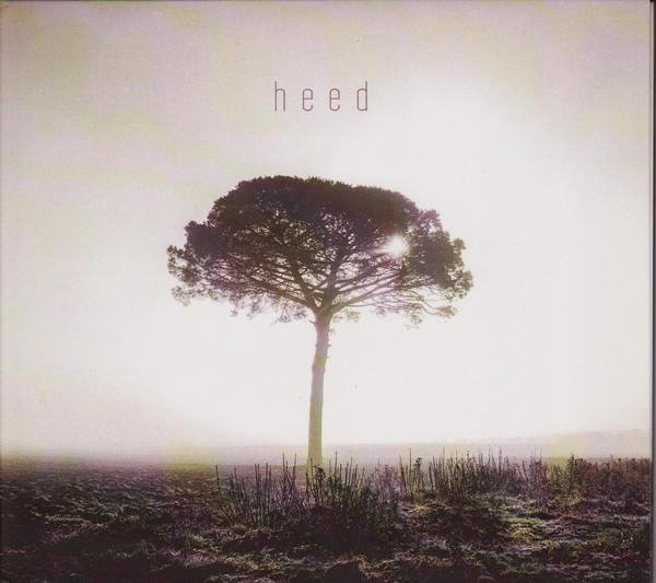 Ginkgo Dawn Shock - Heed