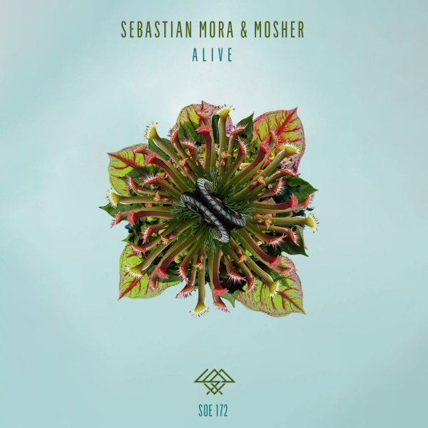 Sebastian Mora &amp; Mosher - Alive
