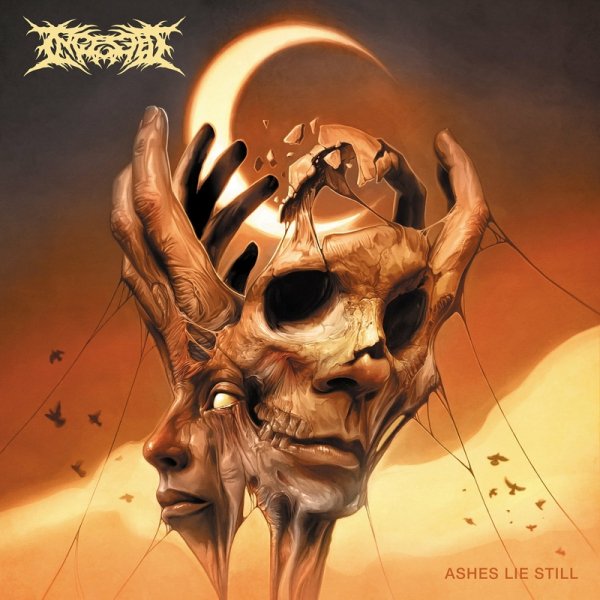 Ingested - Shadows in Time
