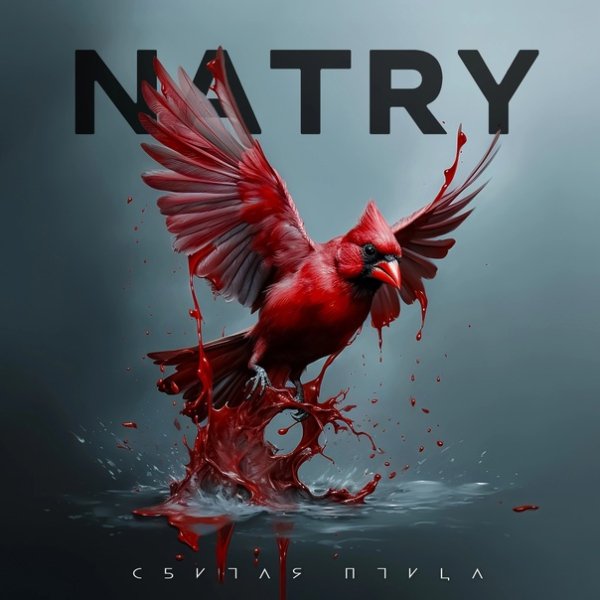 NATRY - Сбитая птица