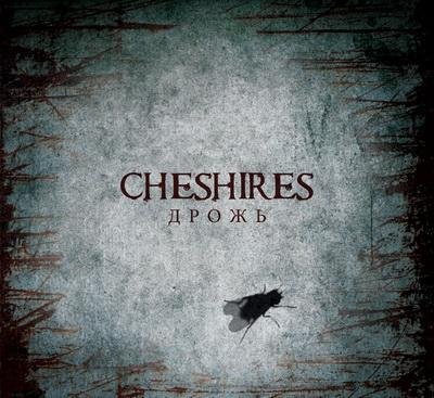 Cheshires - Оранжевый чай