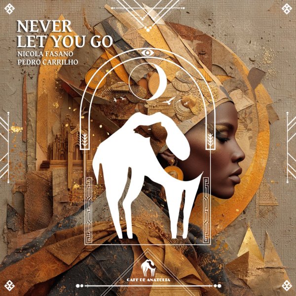 Nicola Fasano, Pedro Carrilho - Never Let You Go