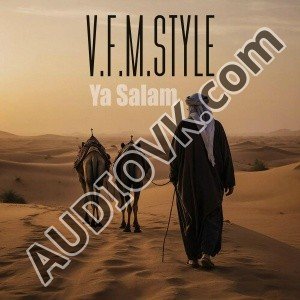 V.F.M.style - Ya Salam