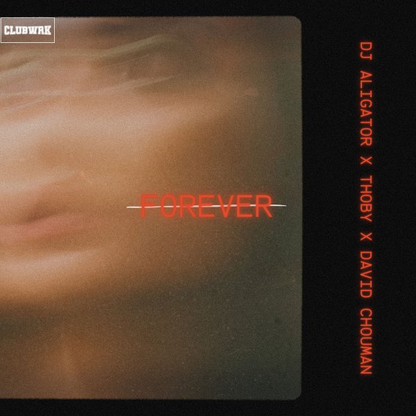 DJ Aligator, THOBY, David Chouman - Forever