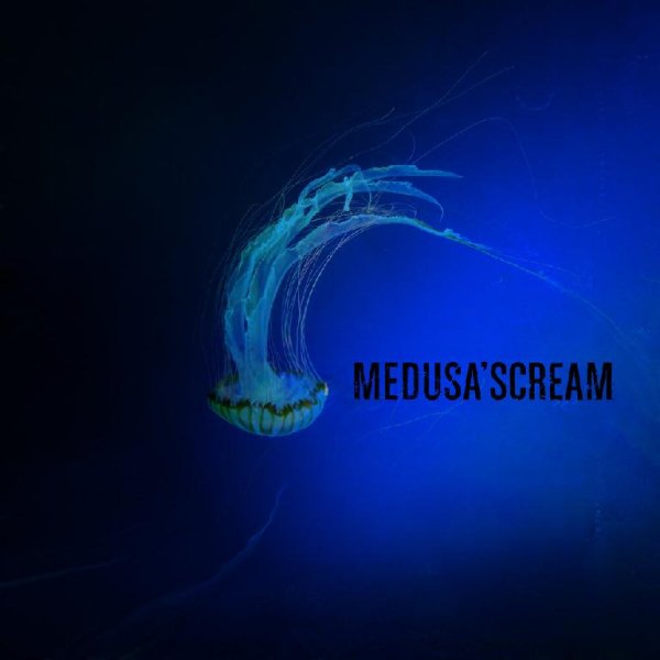 Medusa'Scream - Mes Ailes