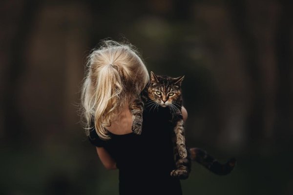 Евстигнеев - Песня звездочета