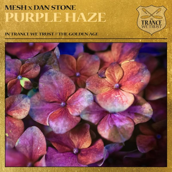 Mesh x Dan Stone - Purple Haze