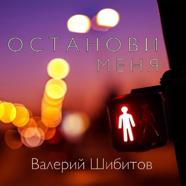 9. Валерий Шибитов - Останови Меня