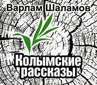 Варлам Шаламов - Апостол Павел