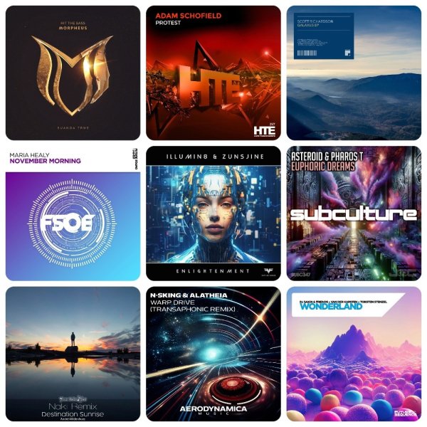 Dj Sakin &amp; Friends Ft Van Der Karsten Ft Torsten Stenzel - Wonderland (Extended Mix)
