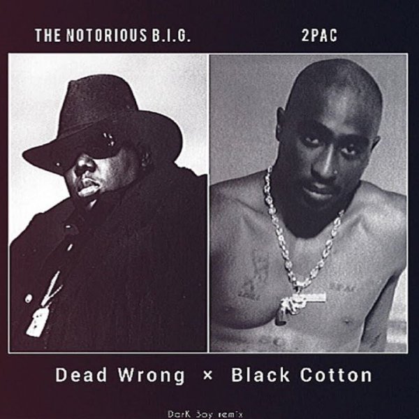 2Pac &amp; The Notorious BIG - Black Cotton/Dead Wrong (DarK Boy remix)
