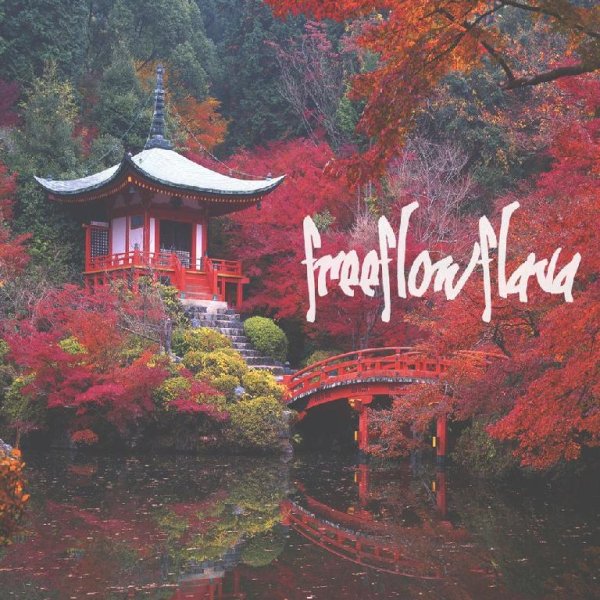 FREE FLOW FLAVA - Chidori