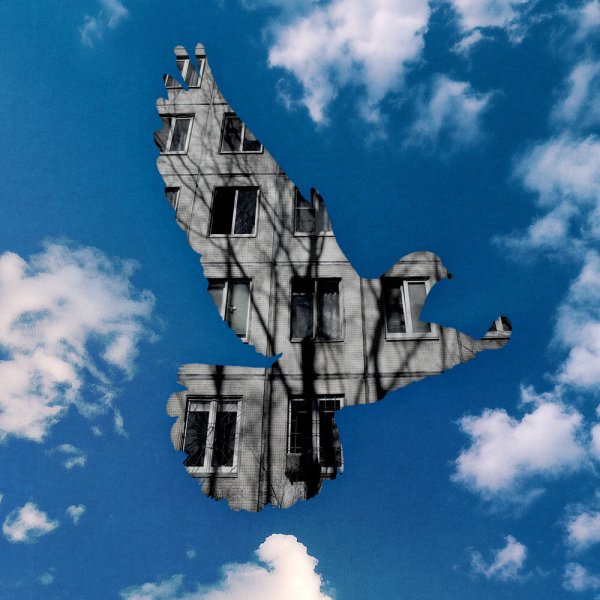 25-17 - Серый голубь (Звуки Му cover)