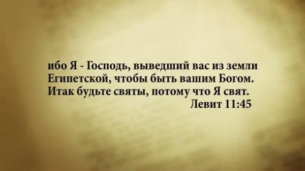 3_minuty_Biblii_Stih_dnya_31_marta_Levit_11_45 - 3 МИНУТЫ БИБЛИИ.  СТИХ ДНЯ НА 31 МАРТА.ЛЕВИТ 11:45.